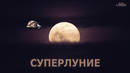 Moon-supermoon_2021_astrolords_big